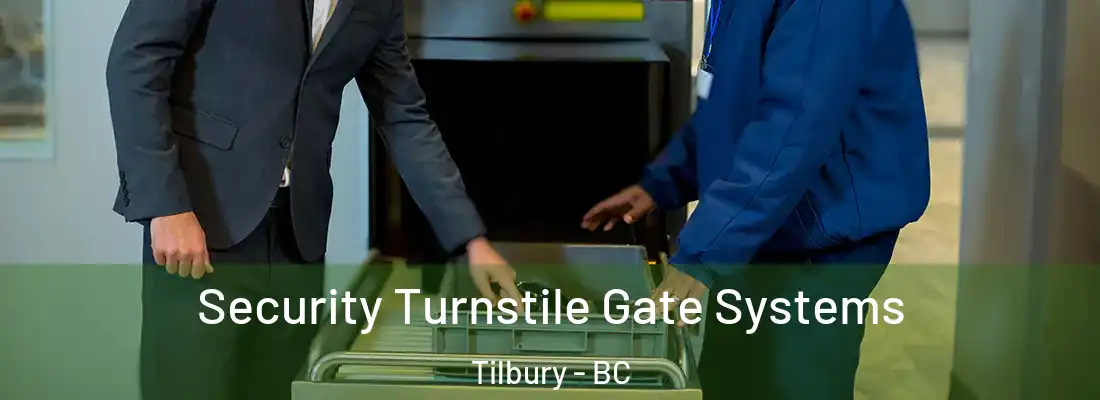  Security Turnstile Gate Systems Tilbury - BC