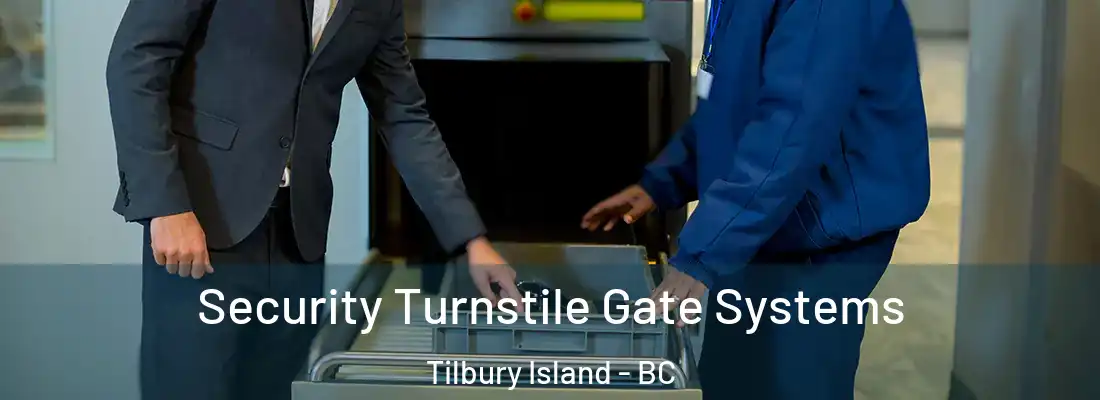  Security Turnstile Gate Systems Tilbury Island - BC