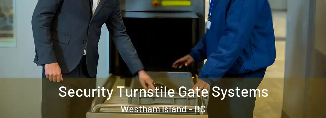  Security Turnstile Gate Systems Westham Island - BC