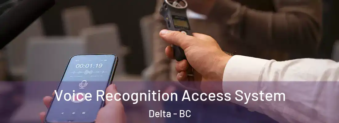  Voice Recognition Access System Delta - BC
