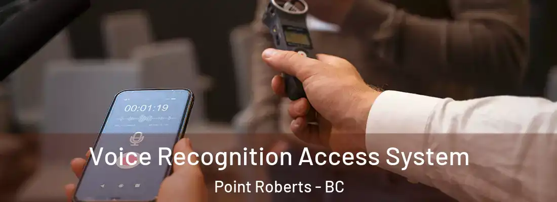 Voice Recognition Access System Point Roberts - BC