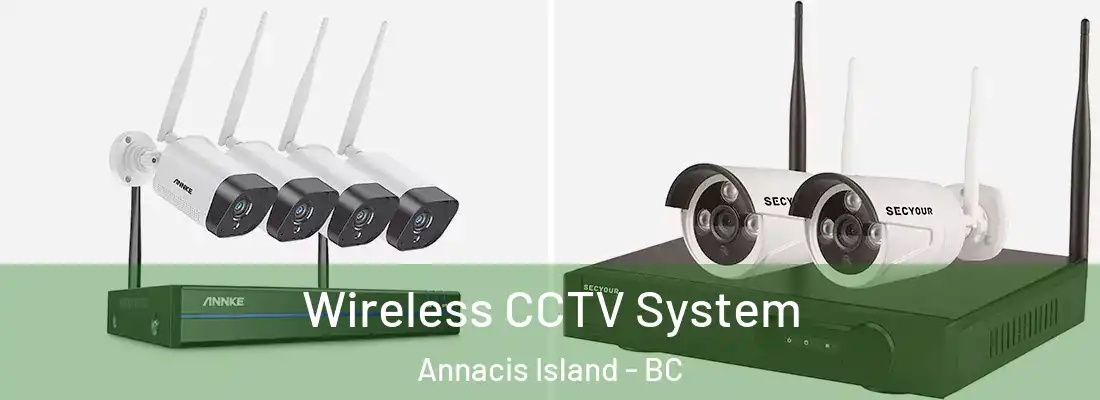  Wireless CCTV System Annacis Island - BC
